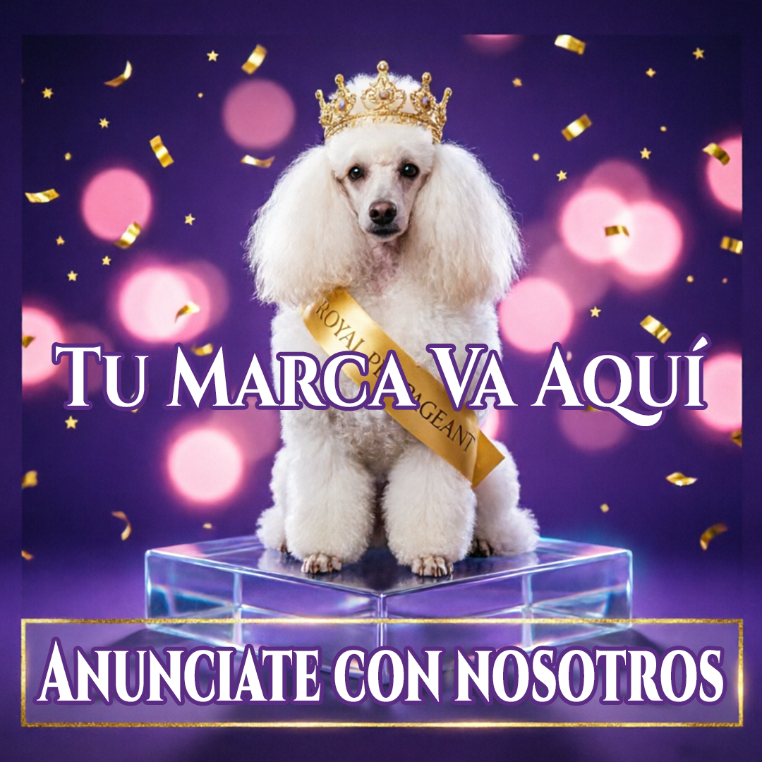 Anunciante 1