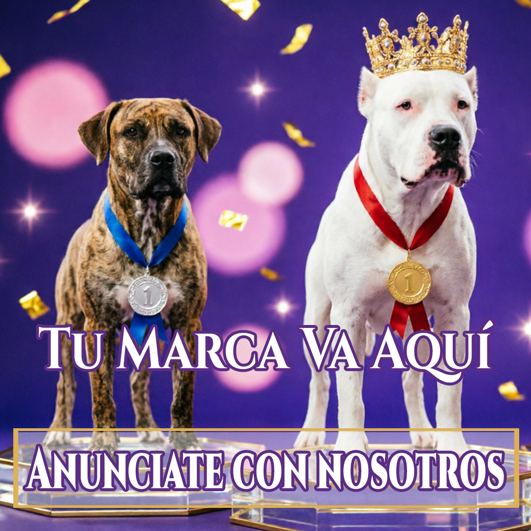 Anunciante 5